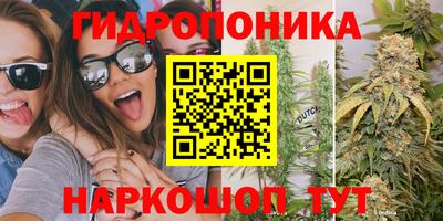 стафф Новозыбков